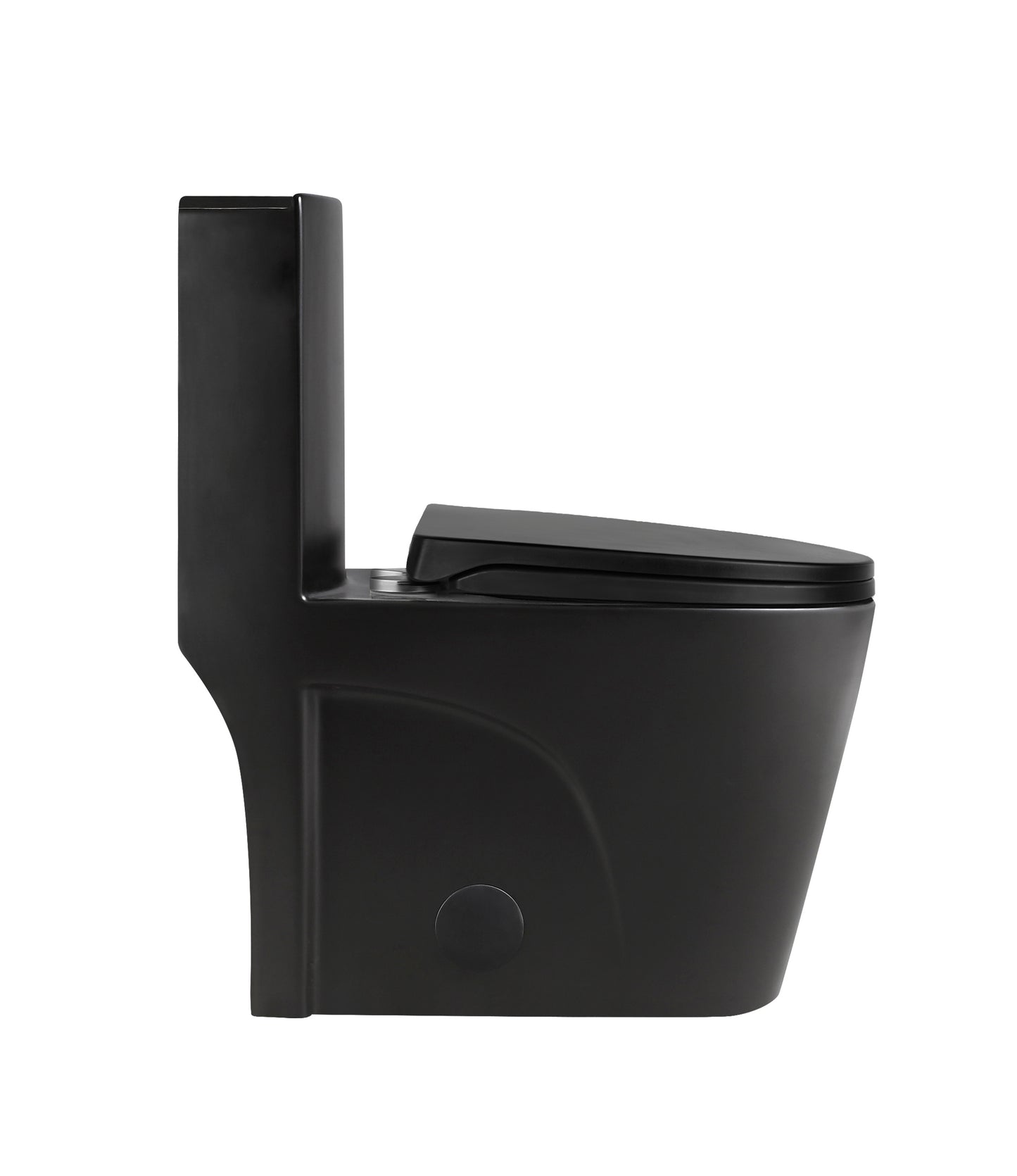 Matte Black One-piece Dual-Flush Toilet