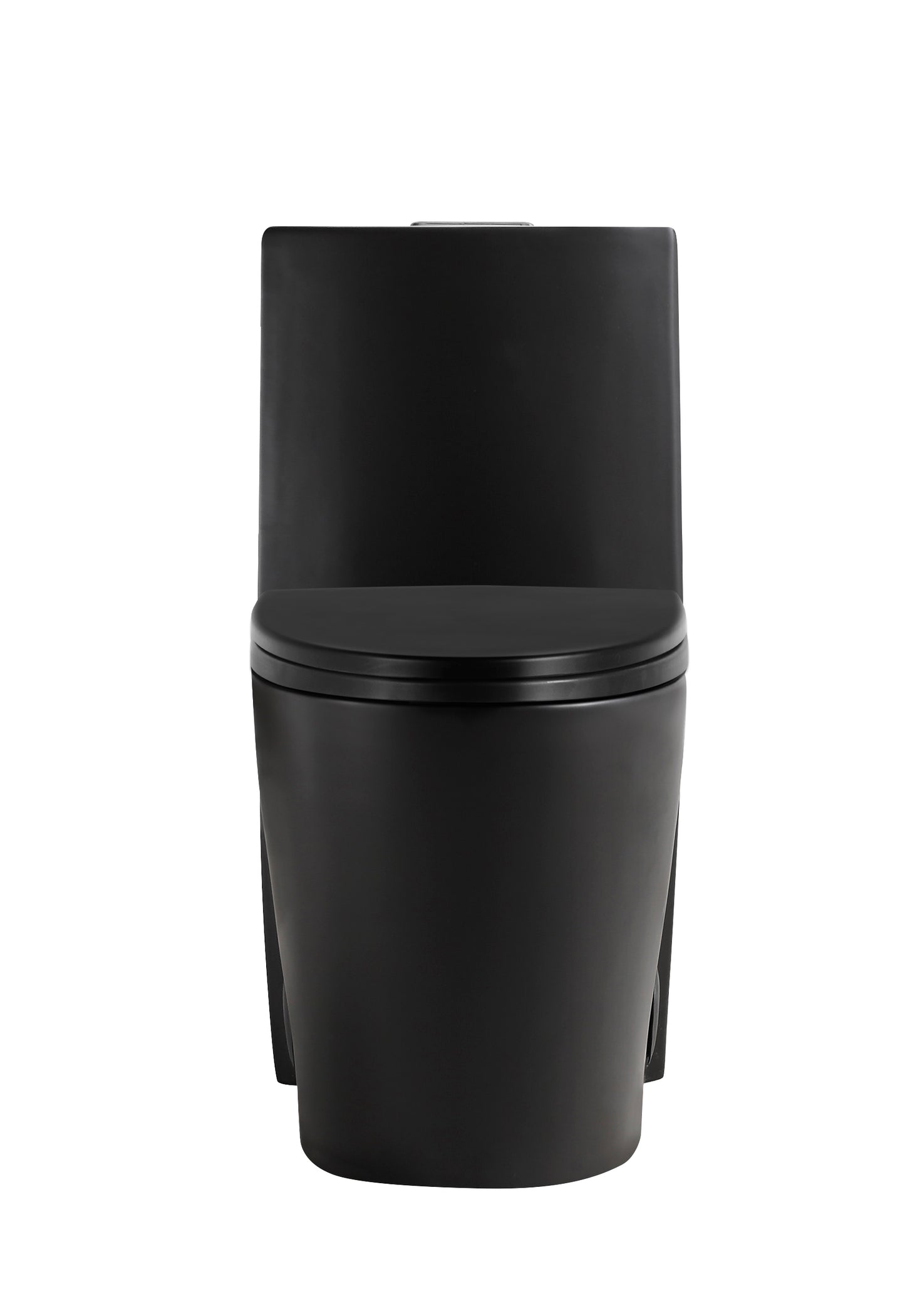 Matte Black One-piece Dual-Flush Toilet