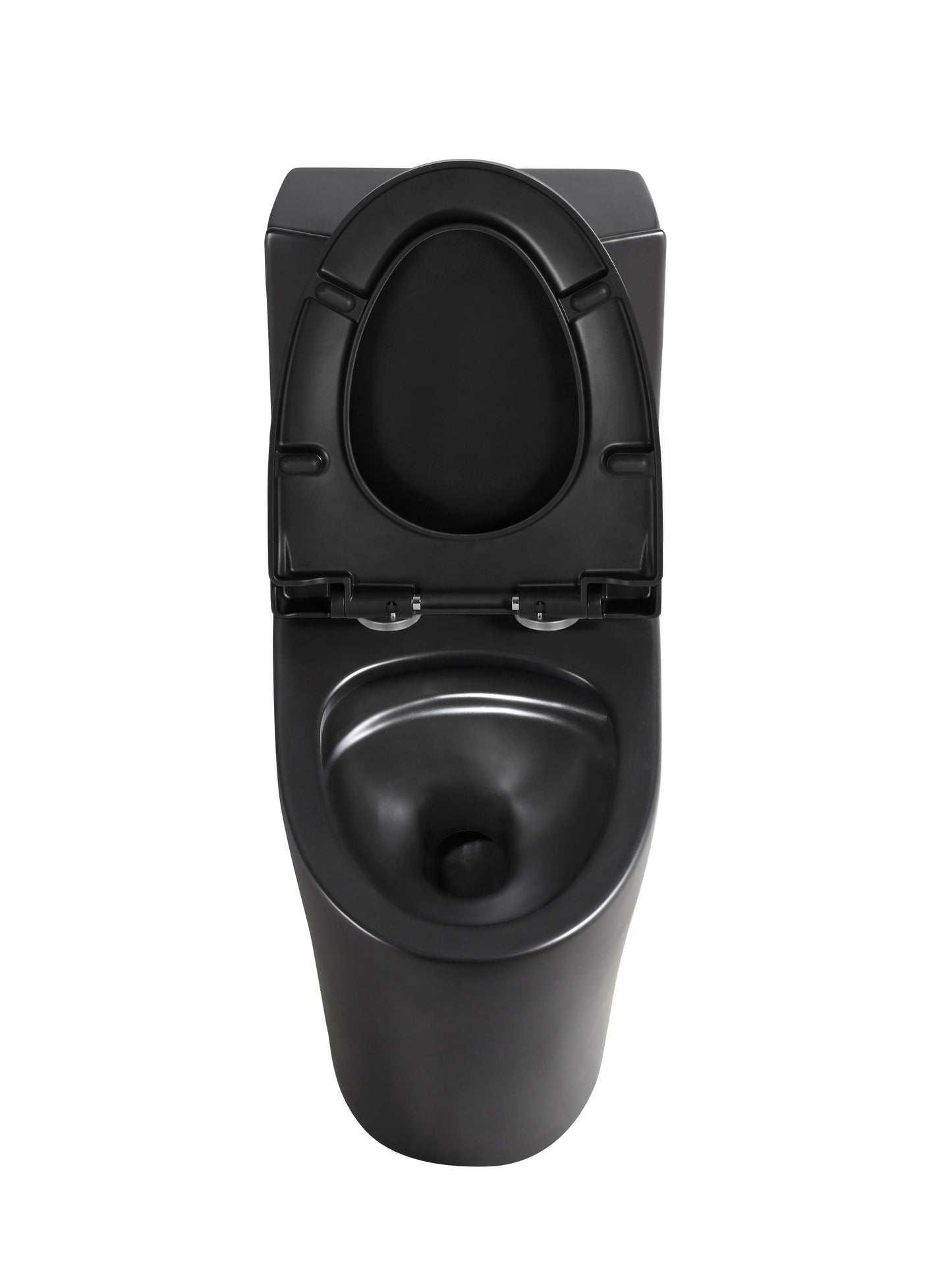 Matte Black One-piece Dual-Flush Toilet