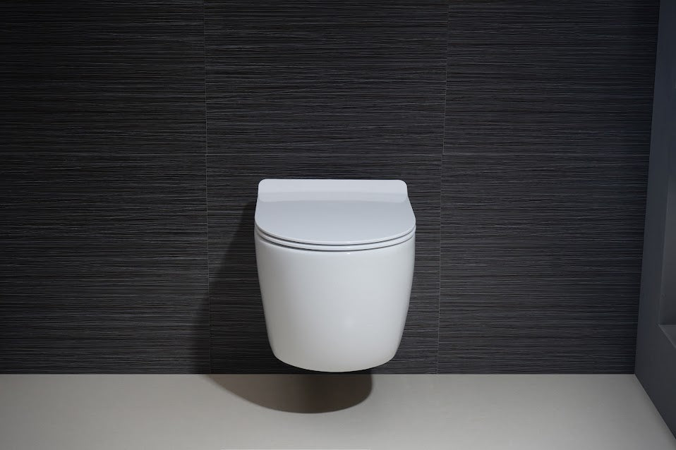 White Round Wall Mounted Toilet